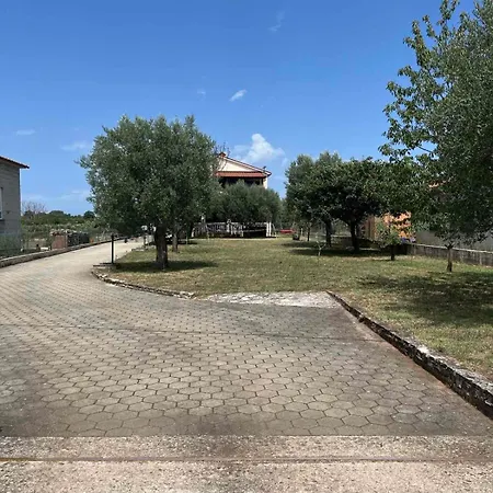 Monteci